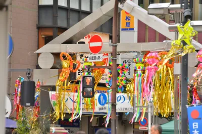 DSC_4022 (Large).JPG